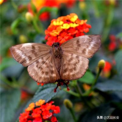无尽之枪手游(暂未上线)v1.0 安卓中文版